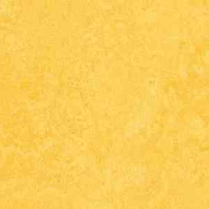 Линолеум Marmoleum Decibel on Order 325135 lemon zest фото  | FLOORDEALER